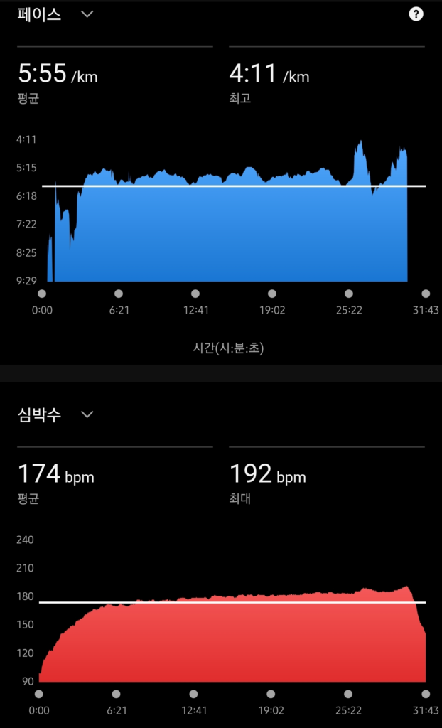 12/28 가민 그래프