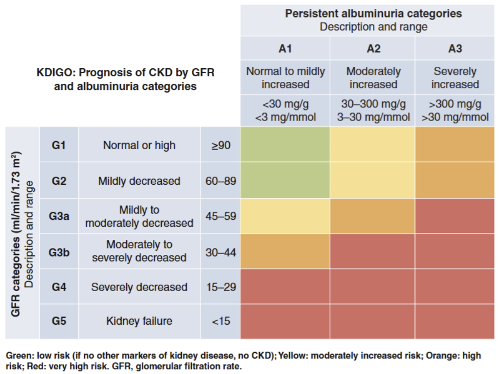 KDIGO Guidline, CKD classification